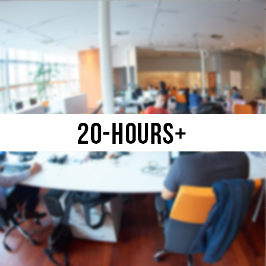 20 hours of virtual assistant services